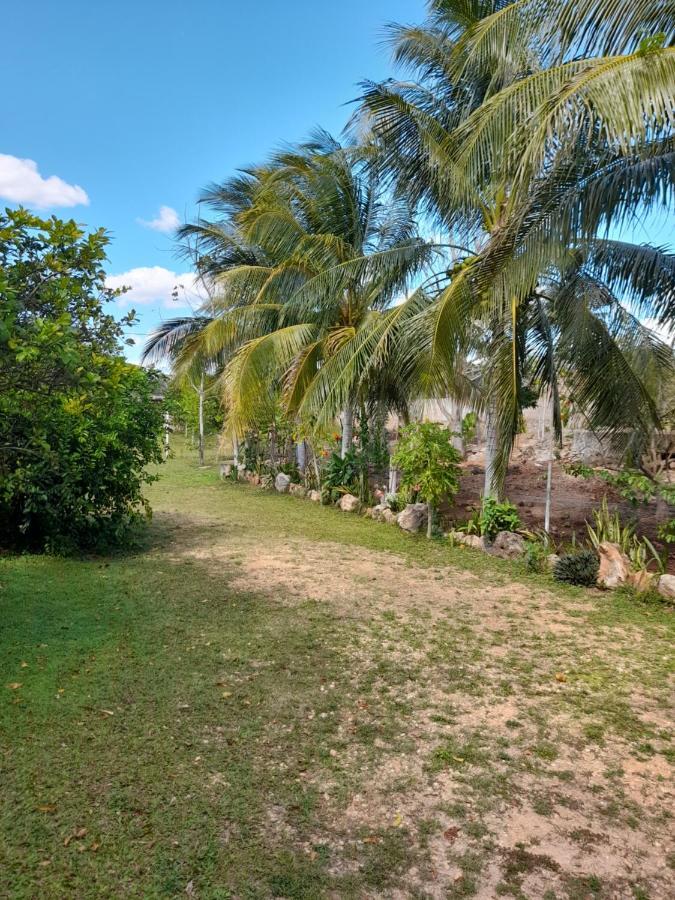 Villa lirios Valladolid (Yucatan) Exterior foto